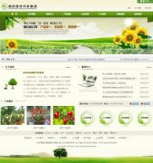 花卉租賃_網(wǎng)站模板_seo網(wǎng)站優(yōu)化_網(wǎng)站建設案例