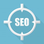 《SEO優(yōu)化》談論關于搜索引擎優(yōu)化的發(fā)展問題