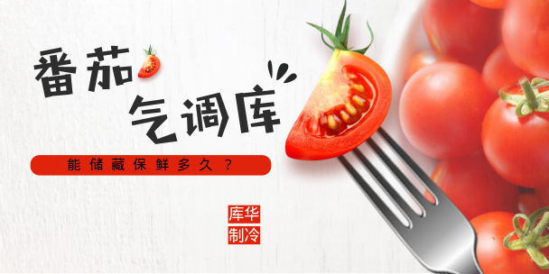 番茄氣調(diào)庫(kù)保鮮