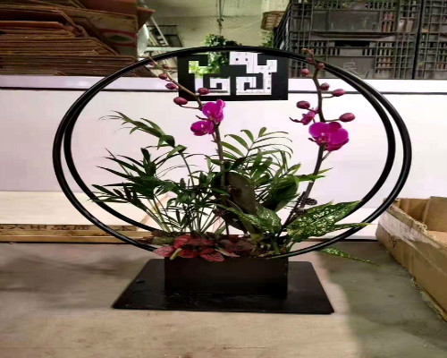 永新植物租賃,植物租擺,綠植出租,租花,租盆栽