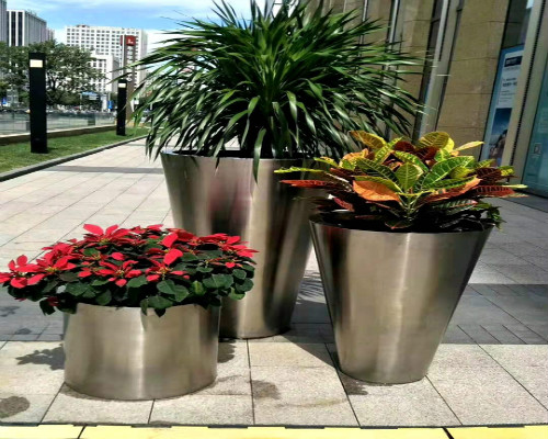 永新花卉租擺,綠植租擺公司-永新園林綠化工程有限公司