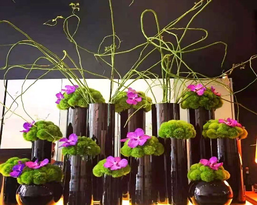 永新綠植租擺-永新綠植租賃-永新花卉租擺公司